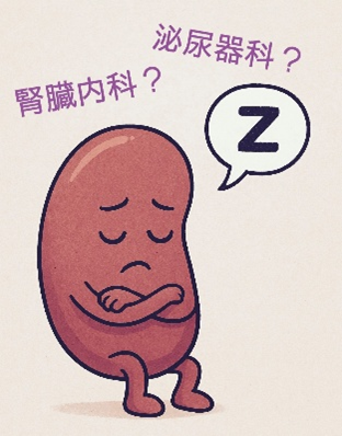 腎臓が悪いと言われたら、「腎臓内科」と「泌尿器科」どっち？専門医が違いを解説